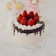 Chocoberry 6"